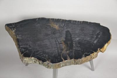 Petrified Wood Side Table with Stainless Steel Feet Organic Modern IDN 2021