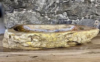 Petrified Wood Sink Beige Yellow Brown Tones Organic Modern Top Quality