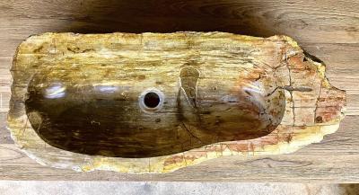 Petrified Wood Sink Beige Yellow Brown Tones Organic Modern Top Quality