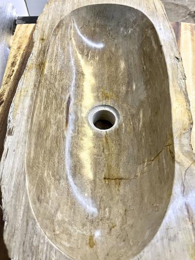 Petrified Wood Sink Grey Beige Tones Polished Top Quality IDN 2023