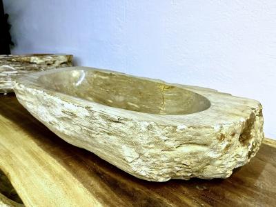 Petrified Wood Sink Grey Beige Tones Polished Top Quality IDN 2023