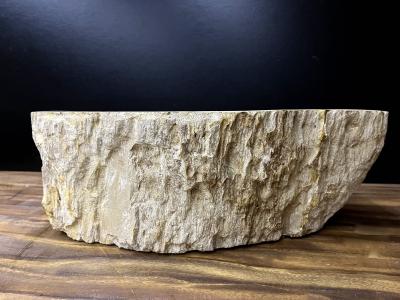 Petrified Wood Sink In Beige Brown Grey Tones Organic Modern Top Quality