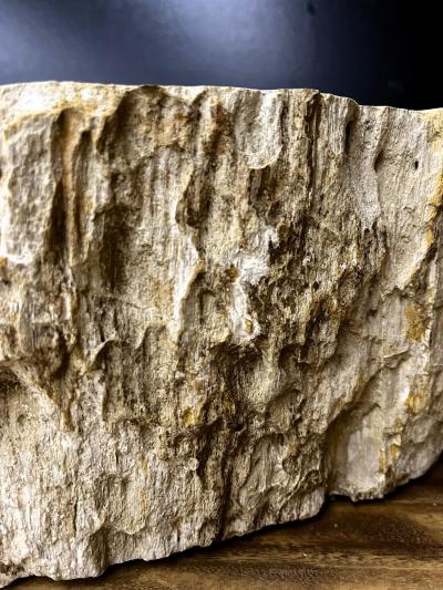 Petrified Wood Sink In Beige Brown Grey Tones Organic Modern Top Quality