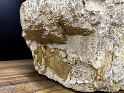 Petrified Wood Sink In Beige Brown Grey Tones Organic Modern Top Quality