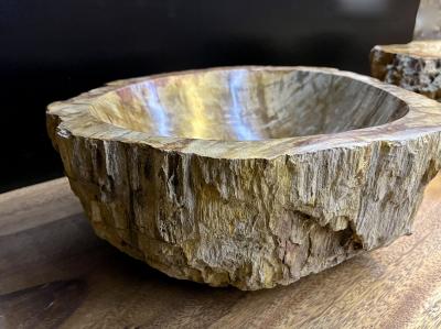 Petrified Wood Sink In Beige Brown Yellow Tones Polished Top Quality IDN