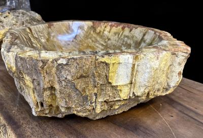 Petrified Wood Sink In Beige Brown Yellow Tones Polished Top Quality IDN