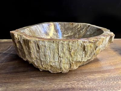 Petrified Wood Sink In Beige Brown Yellow Tones Polished Top Quality IDN