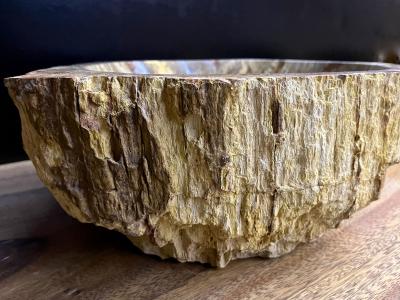 Petrified Wood Sink In Beige Brown Yellow Tones Polished Top Quality IDN
