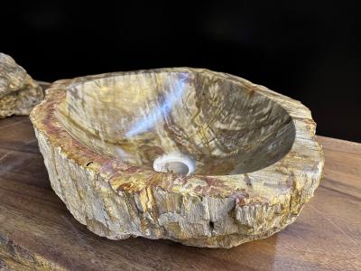 Petrified Wood Sink In Beige Brown Yellow Tones Polished Top Quality IDN