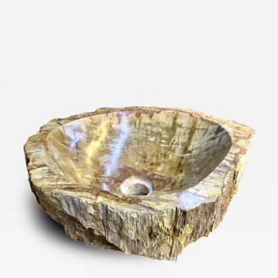 Petrified Wood Sink In Beige Brown Yellow Tones Polished Top Quality IDN