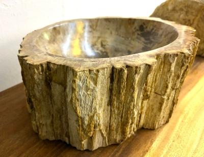 Petrified Wood Sink Modern Organic Grey Brown Beige polished IDN 2025