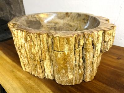 Petrified Wood Sink Modern Organic Grey Brown Beige polished IDN 2025