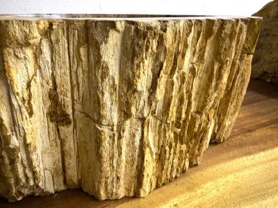 Petrified Wood Sink Modern Organic Grey Brown Beige polished IDN 2025