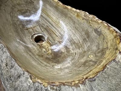 Petrified Wood Sink Organic Modern in Grey Beige Brown Tones Top Quality