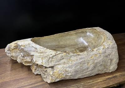 Petrified Wood Sink Organic Modern in Grey Beige Brown Tones Top Quality