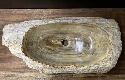 Petrified Wood Sink Organic Modern in Grey Beige Brown Tones Top Quality