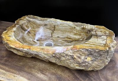Petrified Wood Sink Top Quality in Beige Brown Yellow Tones