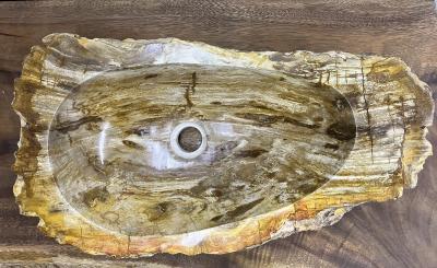 Petrified Wood Sink Top Quality in Beige Brown Yellow Tones