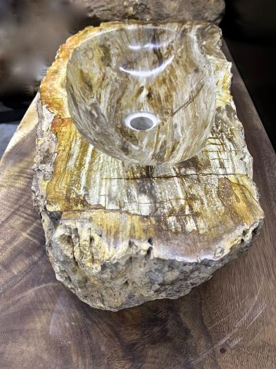 Petrified Wood Sink Top Quality in Beige Brown Yellow Tones