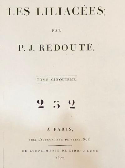 Phalangium Liliago Hand Colored Engraving Signed P J Redoute