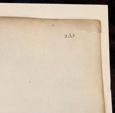 Phalangium Liliastrum Hand Painted Colored Engraving Signed P J Redoute