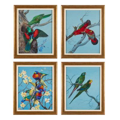 Philip Rickman Four Watercolour Studies of Australian Parrots by Philip Rickman