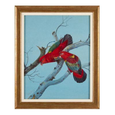 Philip Rickman Four Watercolour Studies of Australian Parrots by Philip Rickman