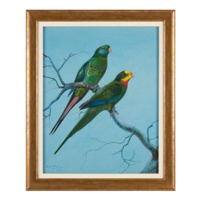 Philip Rickman Four Watercolour Studies of Australian Parrots by Philip Rickman