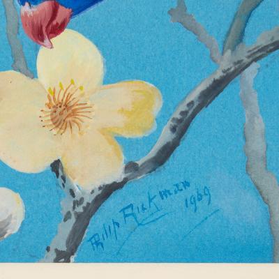 Philip Rickman Four Watercolour Studies of Australian Parrots by Philip Rickman