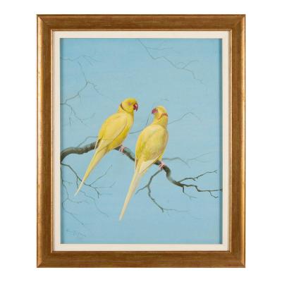 Philip Rickman Pair of Watercolour Studies of Exotic Parrots by Philip Rickman