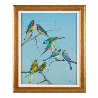 Philip Rickman Pair of Watercolour Studies of Exotic Parrots by Philip Rickman