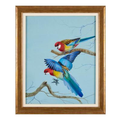 Philip Rickman Set of Five Ornithological Watercolours of Rosellas By Rickman Philip