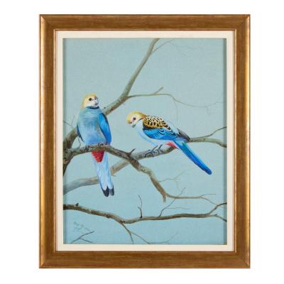 Philip Rickman Set of Five Ornithological Watercolours of Rosellas By Rickman Philip