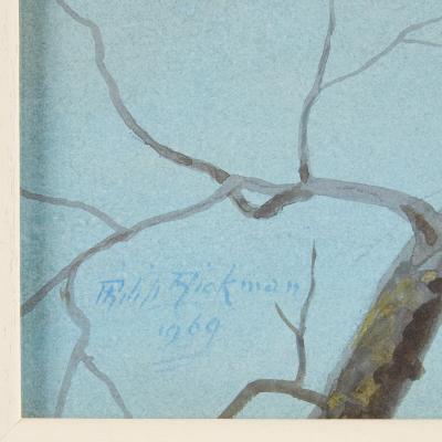 Philip Rickman Set of Five Ornithological Watercolours of Rosellas By Rickman Philip