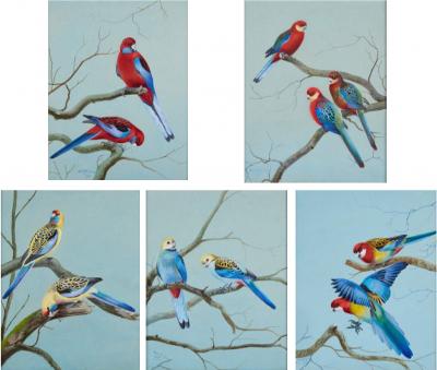 Philip Rickman Set of Five Ornithological Watercolours of Rosellas By Rickman Philip