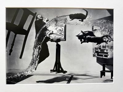 Philippe Halsman Editioned Dali Photograph Atomicus by Philippe Halsman