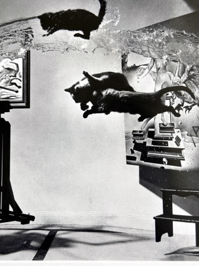 Philippe Halsman Editioned Dali Photograph Atomicus by Philippe Halsman