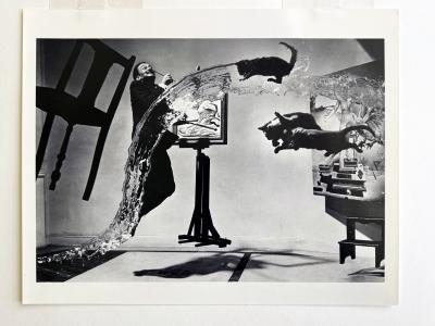 Philippe Halsman Editioned Dali Photograph Atomicus by Philippe Halsman
