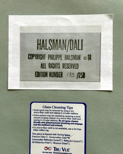 Philippe Halsman Framed Edition Dali Photograph by Philippe Halsman