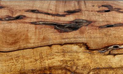 Phillips Collection Organic Modern Origins Dining Table Live Edge Solid Wood