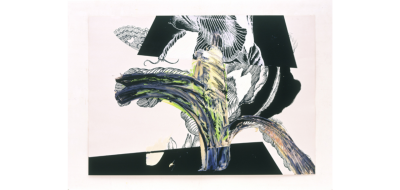 Pia Fries Schwarzwild P2 2006