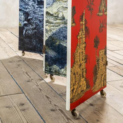 Piero Fornasetti Piero Fornasetti Decoratvie Wooden Screen Gran Coromandel