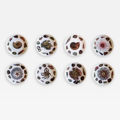 Piero Fornasetti Piero Fornasetti Dishes Decorated With Sea Anemones Urchins Shells