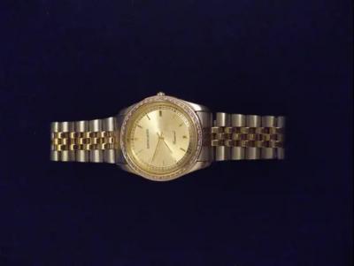 Pierre Cardin Pierre Cardin 2 Tone Mens Diamond Collection Watch