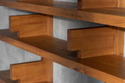 Pierre Chapo B17B Bookshelf by Pierre Chapo France 1967
