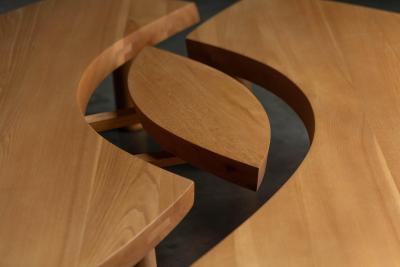 Pierre Chapo T22C Loeil Coffee Table by Pierre Chapo France 1972