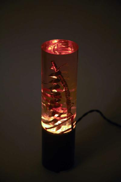 Pierre Giraudon Lamp with inclusion by Pierre Giraudon