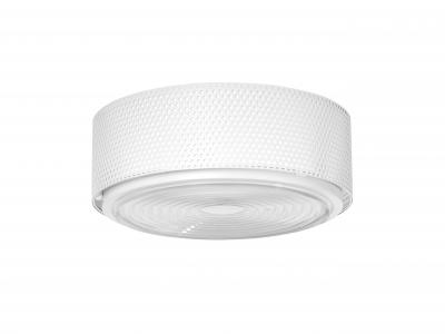 Pierre Guariche Large Pierre Guariche G13 Wall or Ceiling Light for Sammode Studio