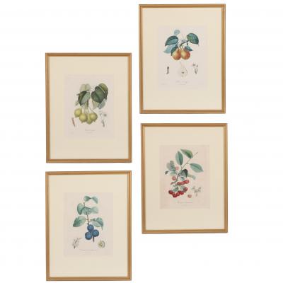 Pierre Jean Francois Turpin Set of 4 Botanical Fruit Prints by Pierre Francis Turpin French 1775 1840 