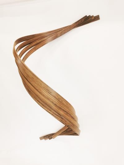 Pierre Renart Symbiose Shelf